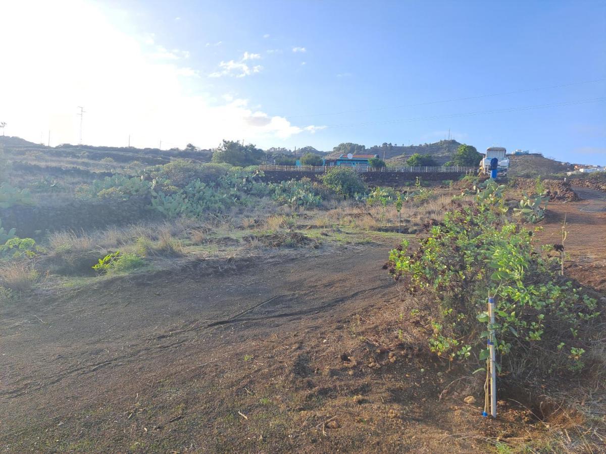 Las casitas de Pao El Pinar de El Hierro Exterior foto