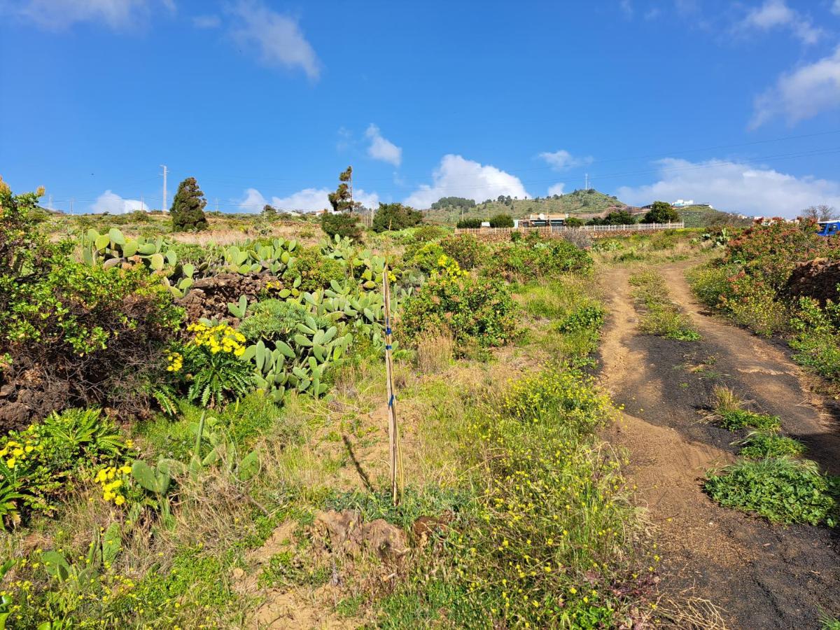 Las casitas de Pao El Pinar de El Hierro Exterior foto