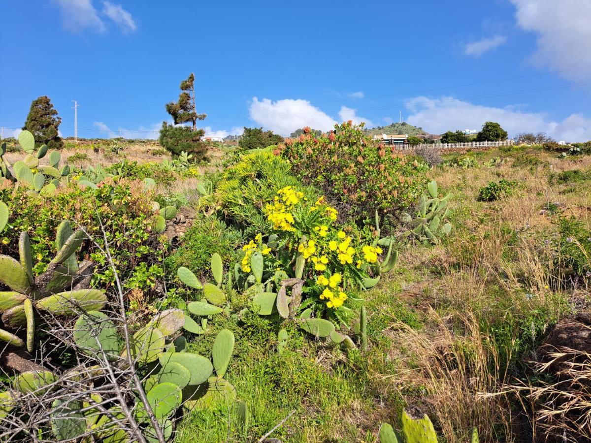 Las casitas de Pao El Pinar de El Hierro Exterior foto
