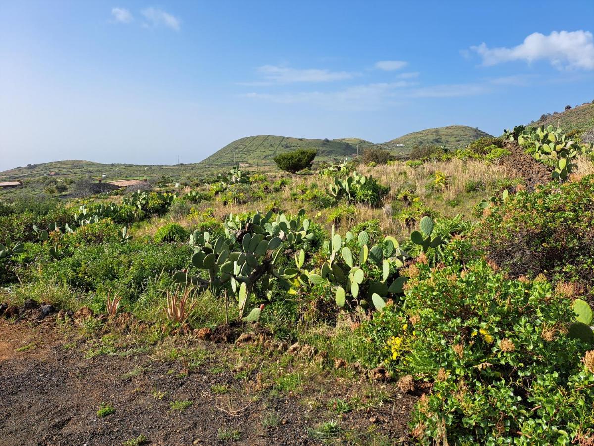 Las casitas de Pao El Pinar de El Hierro Exterior foto