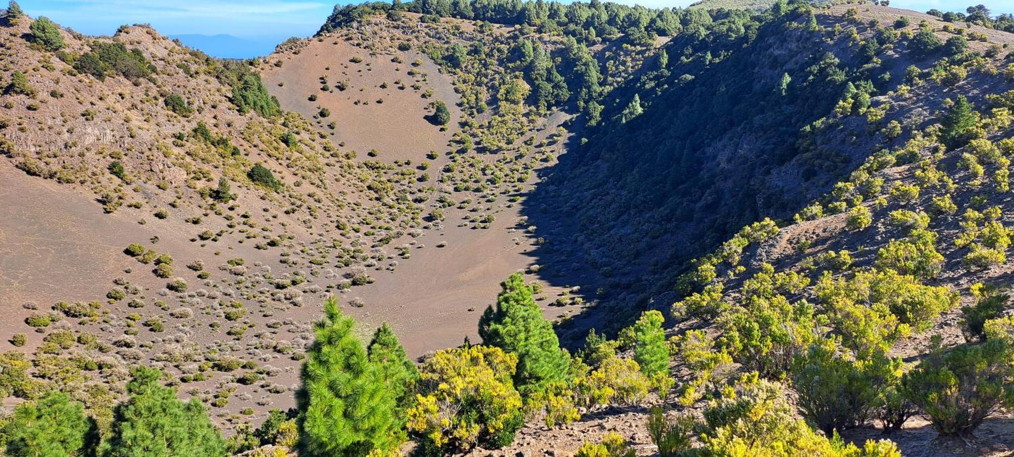 Las casitas de Pao El Pinar de El Hierro Exterior foto